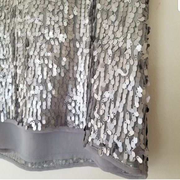 Ann Taylor Silver Sequence TopShort Sleeve - Picture 6 of 10